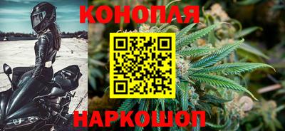стаф Камышлов