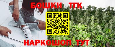 стаф Камышлов