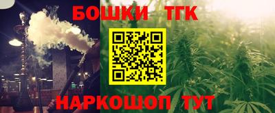 стаф Камышлов