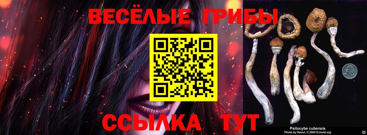Биробиджан  Галлюциногенные грибы Psilocybine cubensis  Галлюциногенные грибы мухоморы  Вход с VPN 
